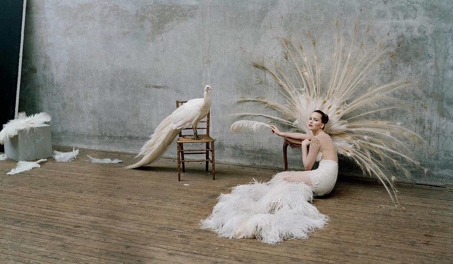 1500x880 Tim Walker Photography, Desktop