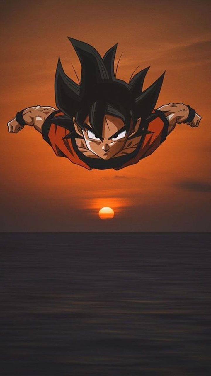 720x1280 Goku HD Mobile Wallpaper, Phone