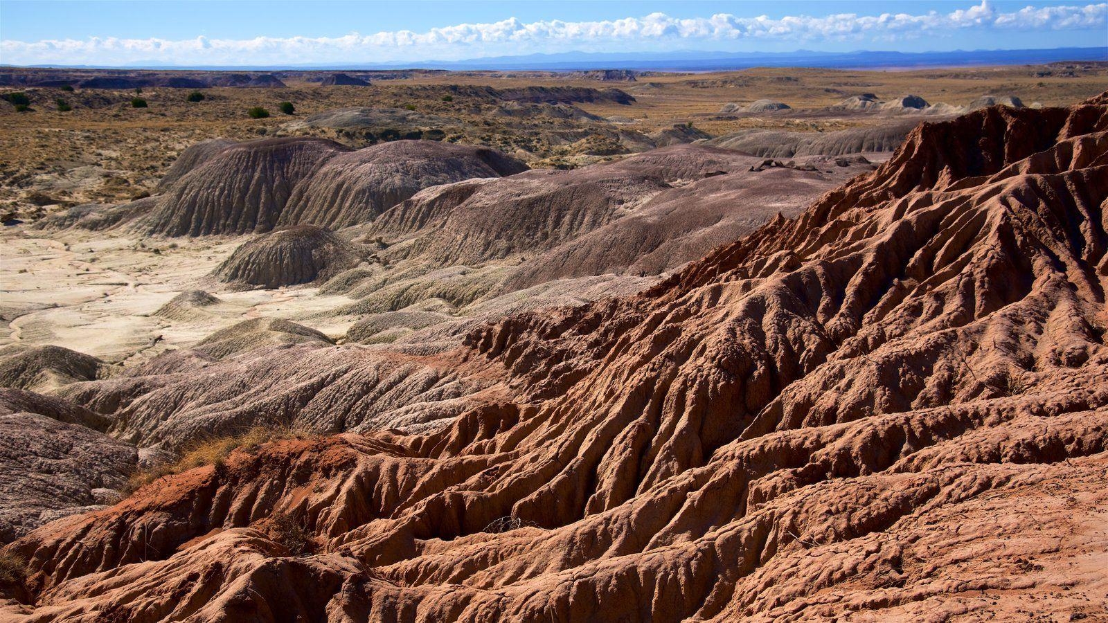 1600x900 Landscape Picture: View Image of Petrified Forest National Park, Desktop