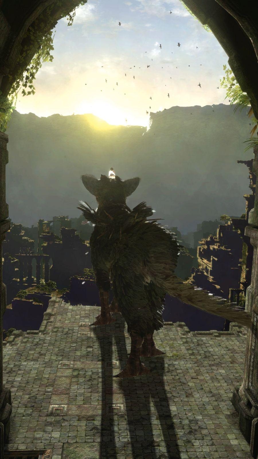 900x1600 The Last Guardian Wiki Section 3 Last Guardian, Phone