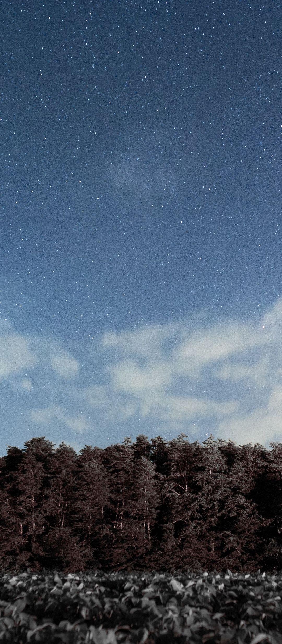 1080x2460 Trees Sky Stars Clouds - [], Phone