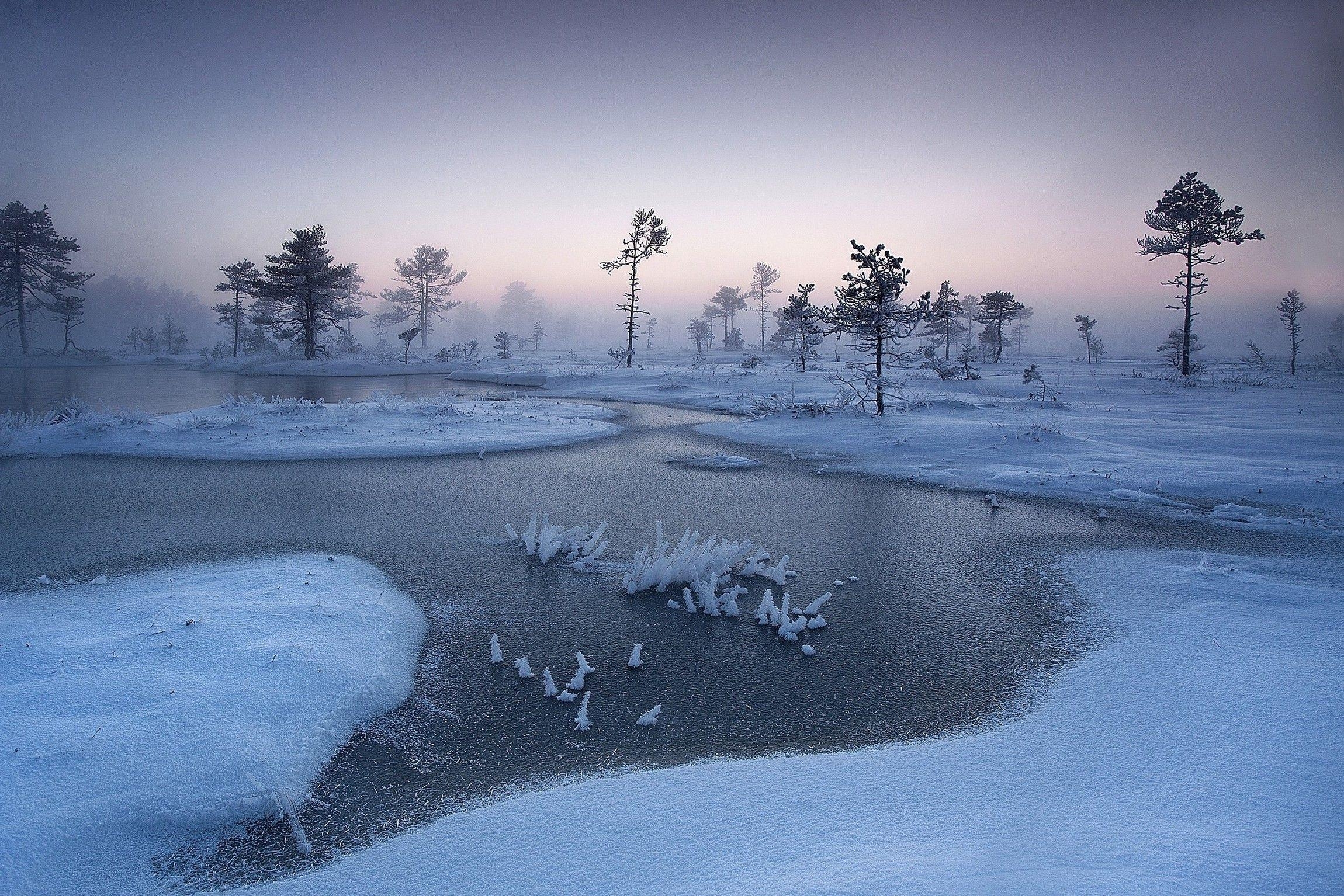 2300x1540 nature, Landscape, Sunrise, Winter, Mist, River, Trees, Snow, Desktop