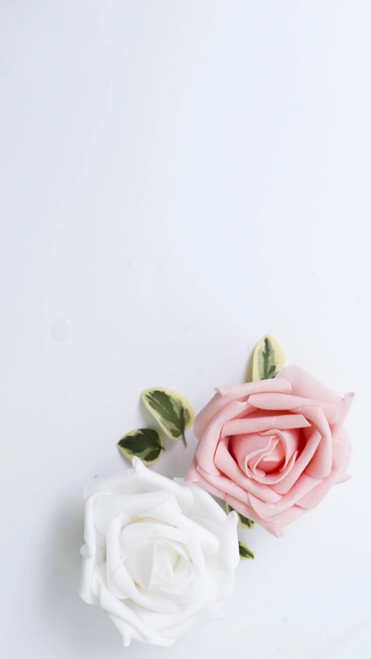 740x1310 aesthetic iphone summer girly wallpaper, Phone