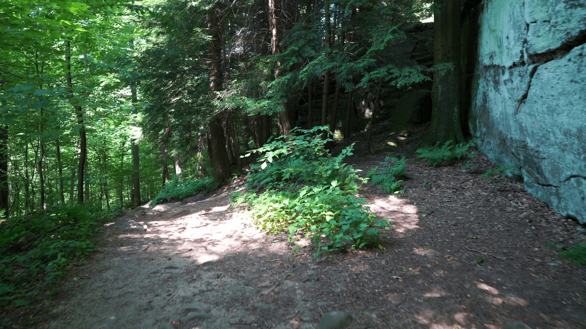 1920x1080 Hiking down forest trail in Cuyahoga Valley National Park Stock, Desktop