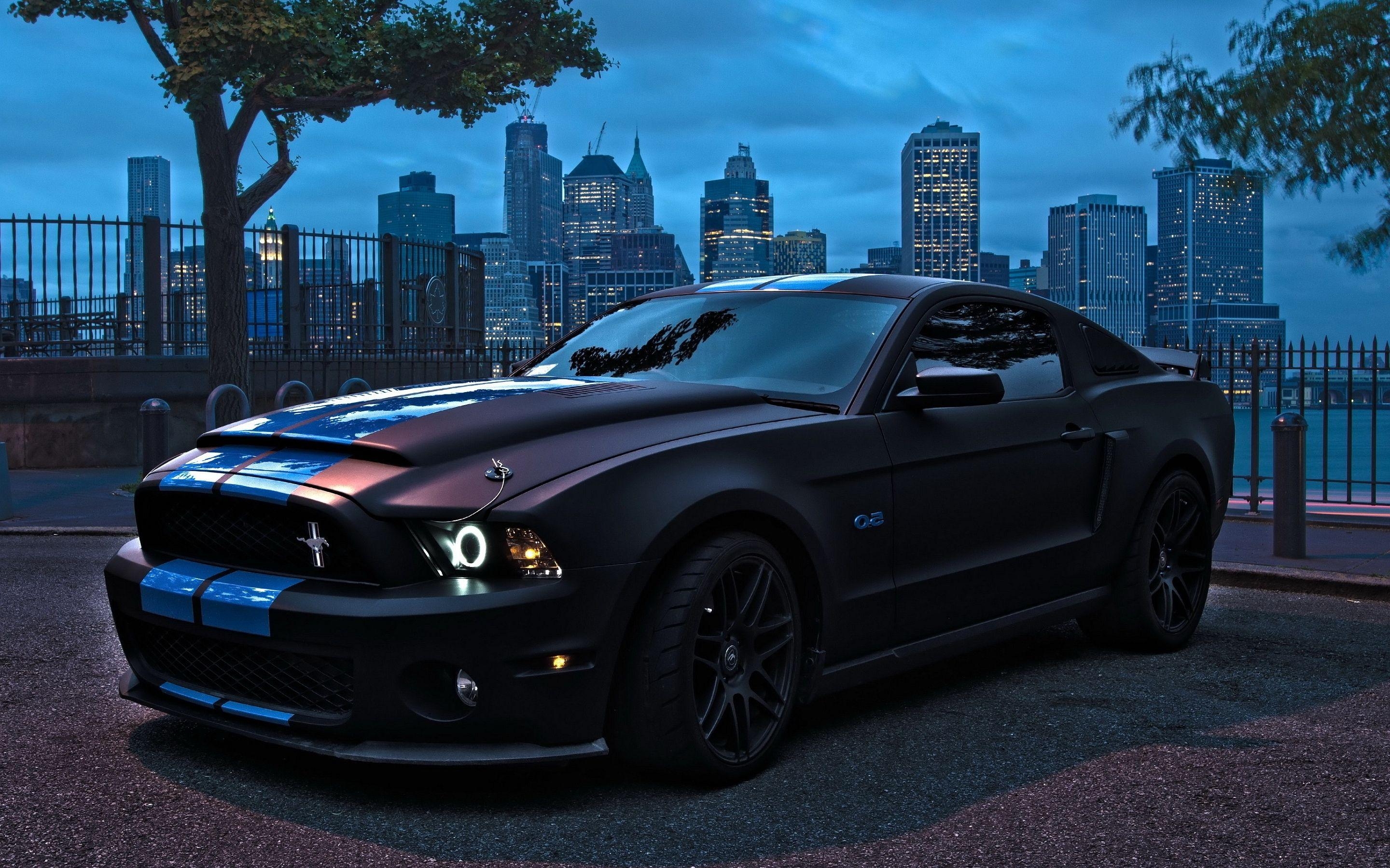 2880x1800 Ford Mustang Black HD Wallpaper, Background Image, Desktop