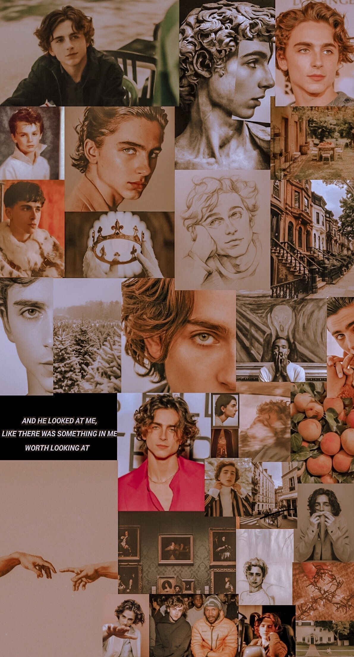 1200x2210 its timothee chalamet's 24th bday today so I made a collage dedicated to him !!, Phone