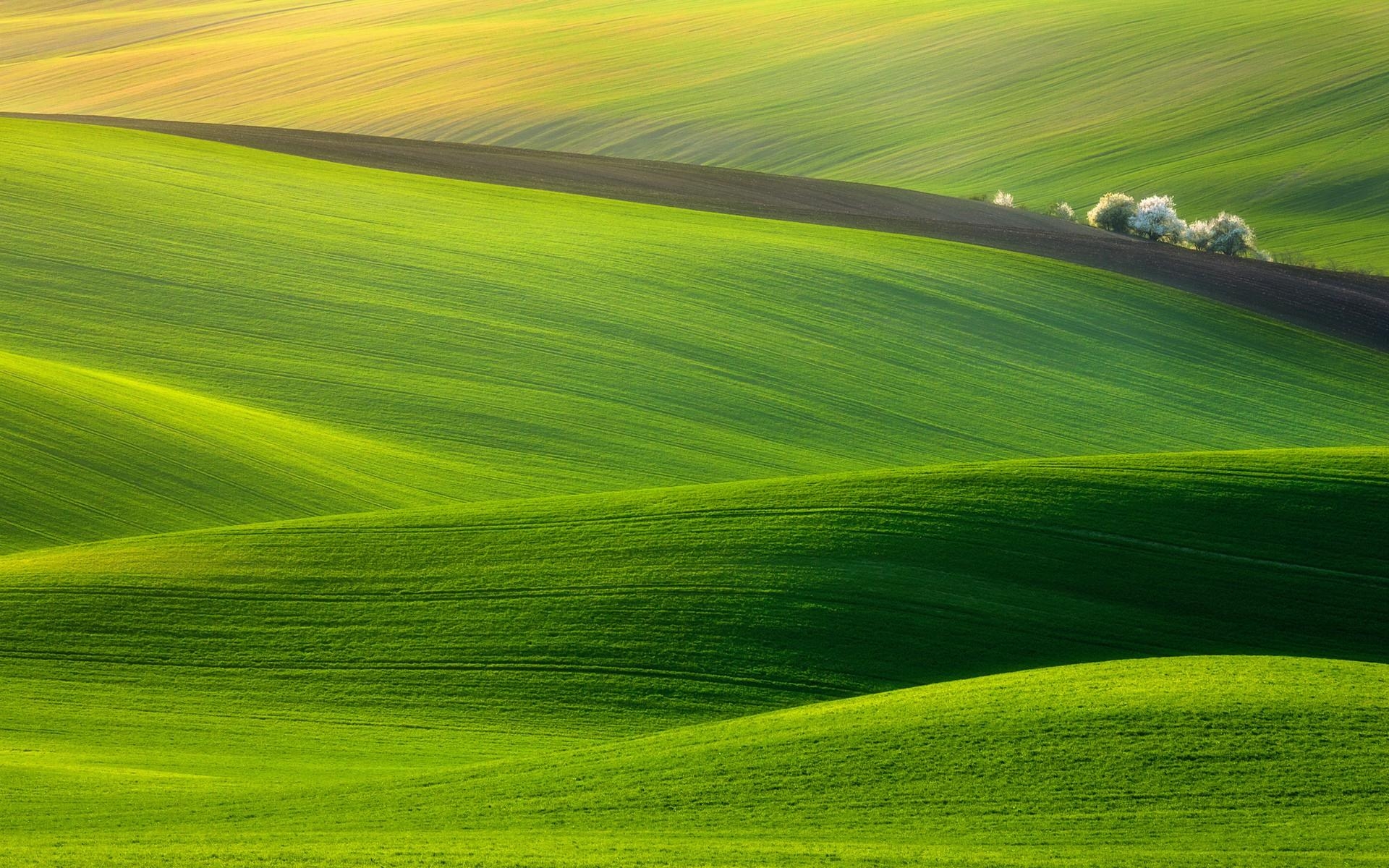 1920x1200 Daily Wallpaper: Hills of Moravia, Czech Republic. I Like To Waste, Desktop