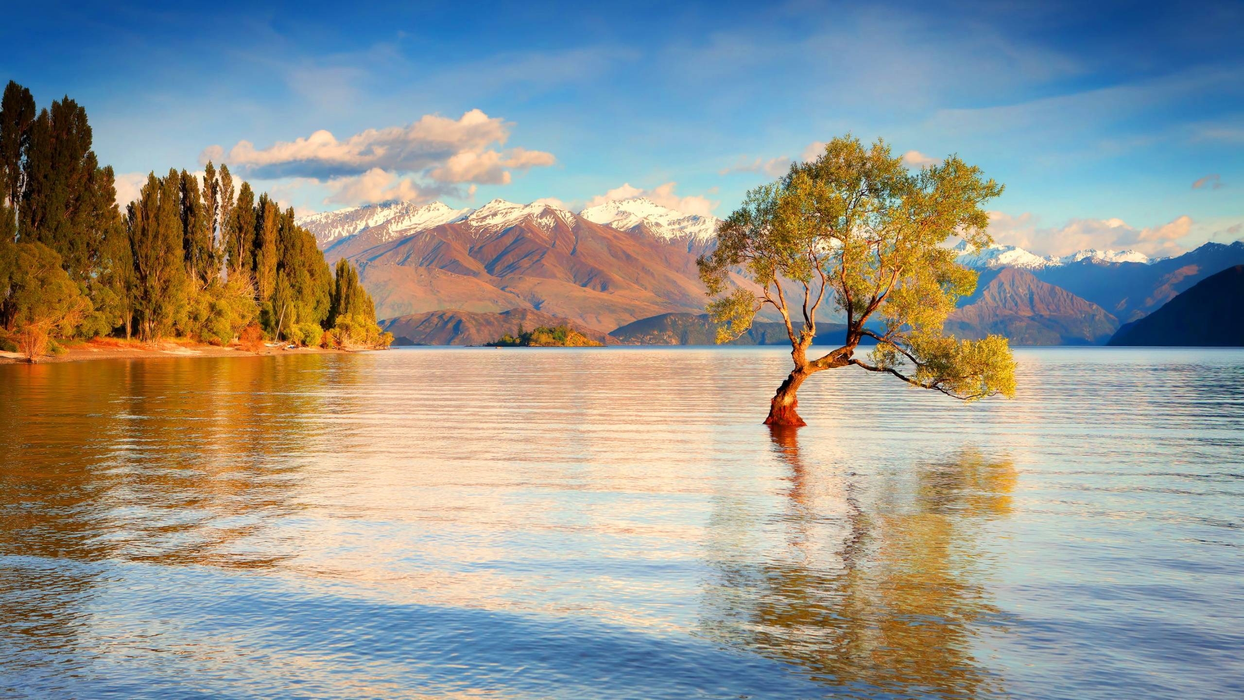 2560x1440 Full HD New Zealand Wallpaper For Free Download: The Land, Desktop