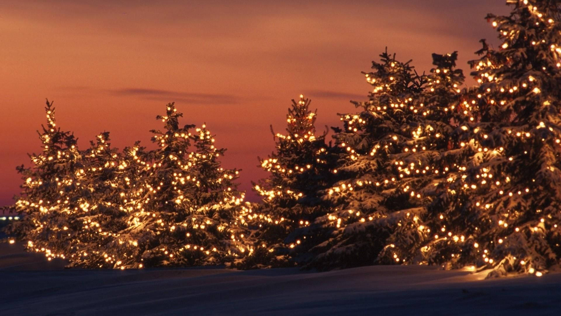 1920x1080 Download Gold Christmas Lights Winter Sunset Wallpaper, Desktop