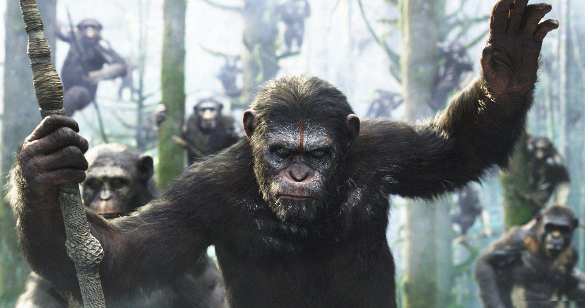 1910x1010 Dawn Of The Planet Of The Apes HD Wallpaper, Desktop