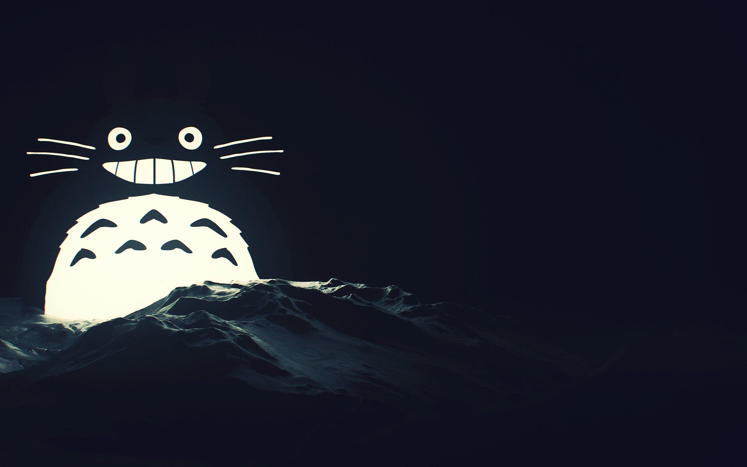 2560x1600 My Neighbor Totoro Wallpaper, Picture, Image, Desktop