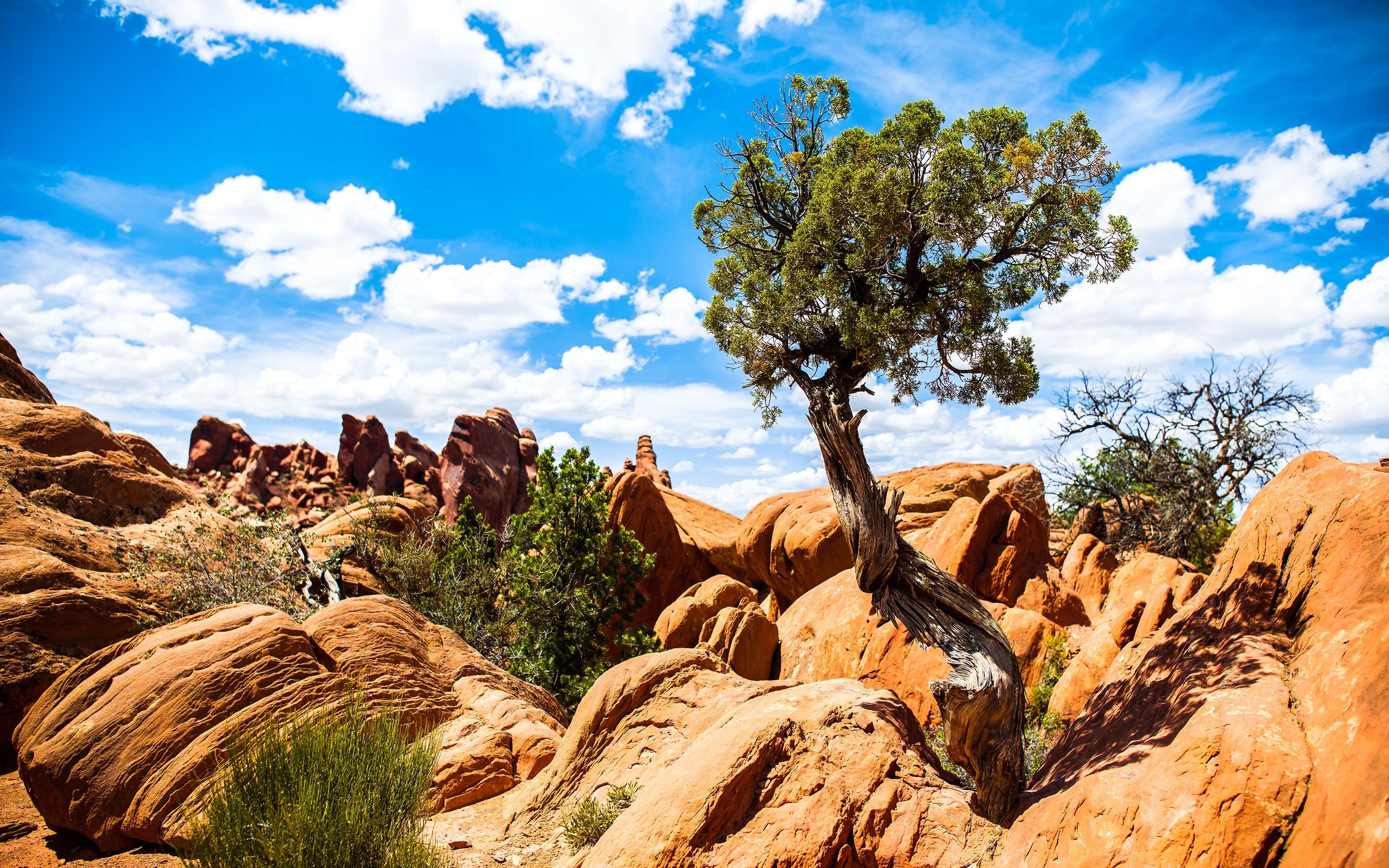 2880x1800 Canyonlands National Park # 1600x1200. All For Desktop, Desktop