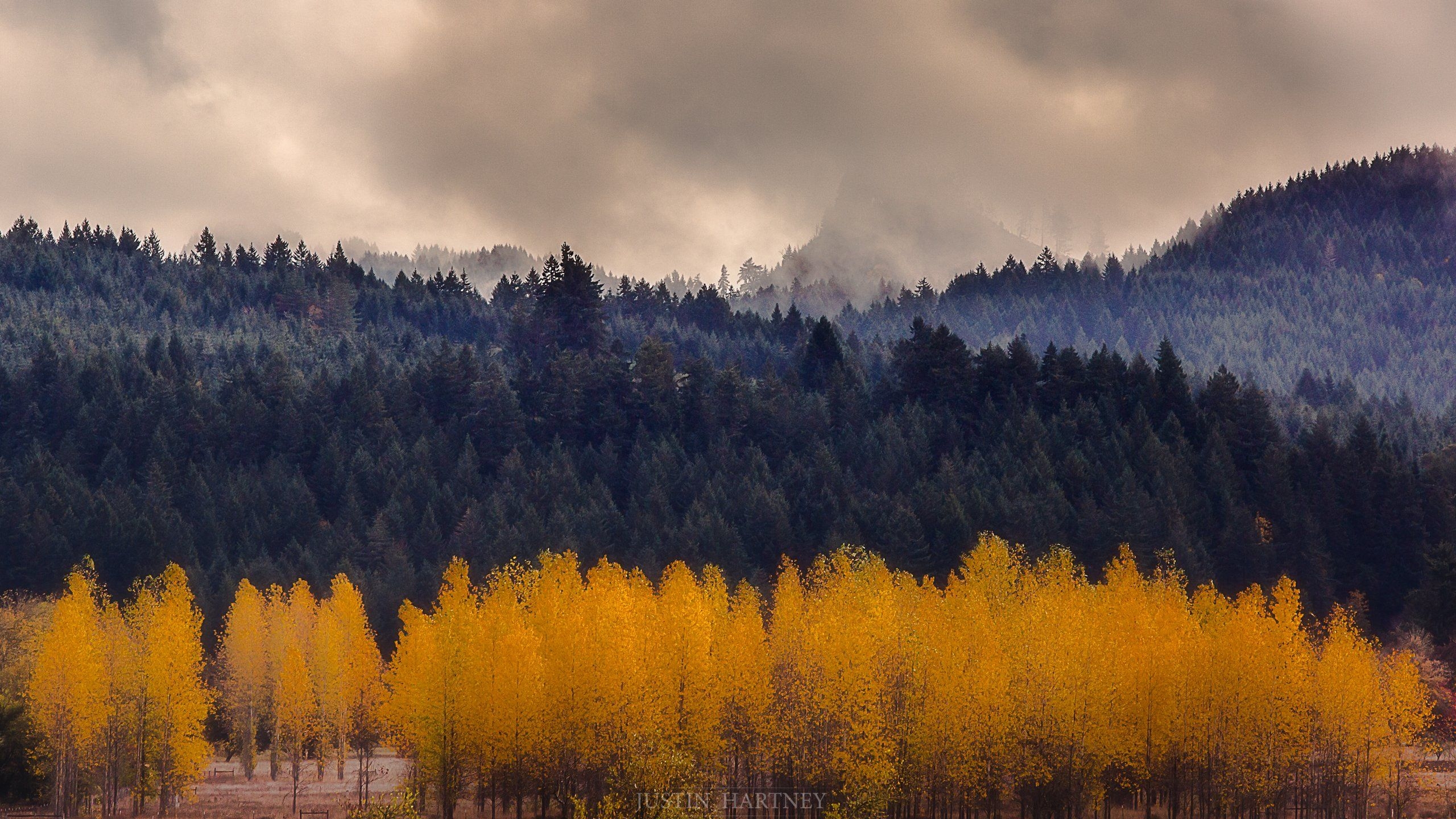 2560x1440 Oregon Fall Wallpaper, HD Oregon Fall Background on WallpaperBat, Desktop