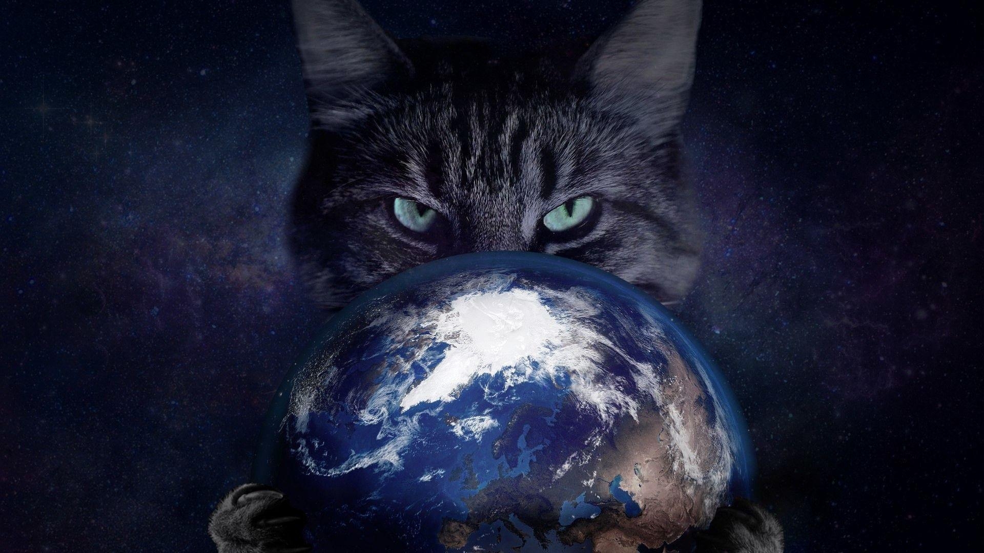 1920x1080 Insidious gray cat with the planet Earth in the clutches Desktop, Desktop