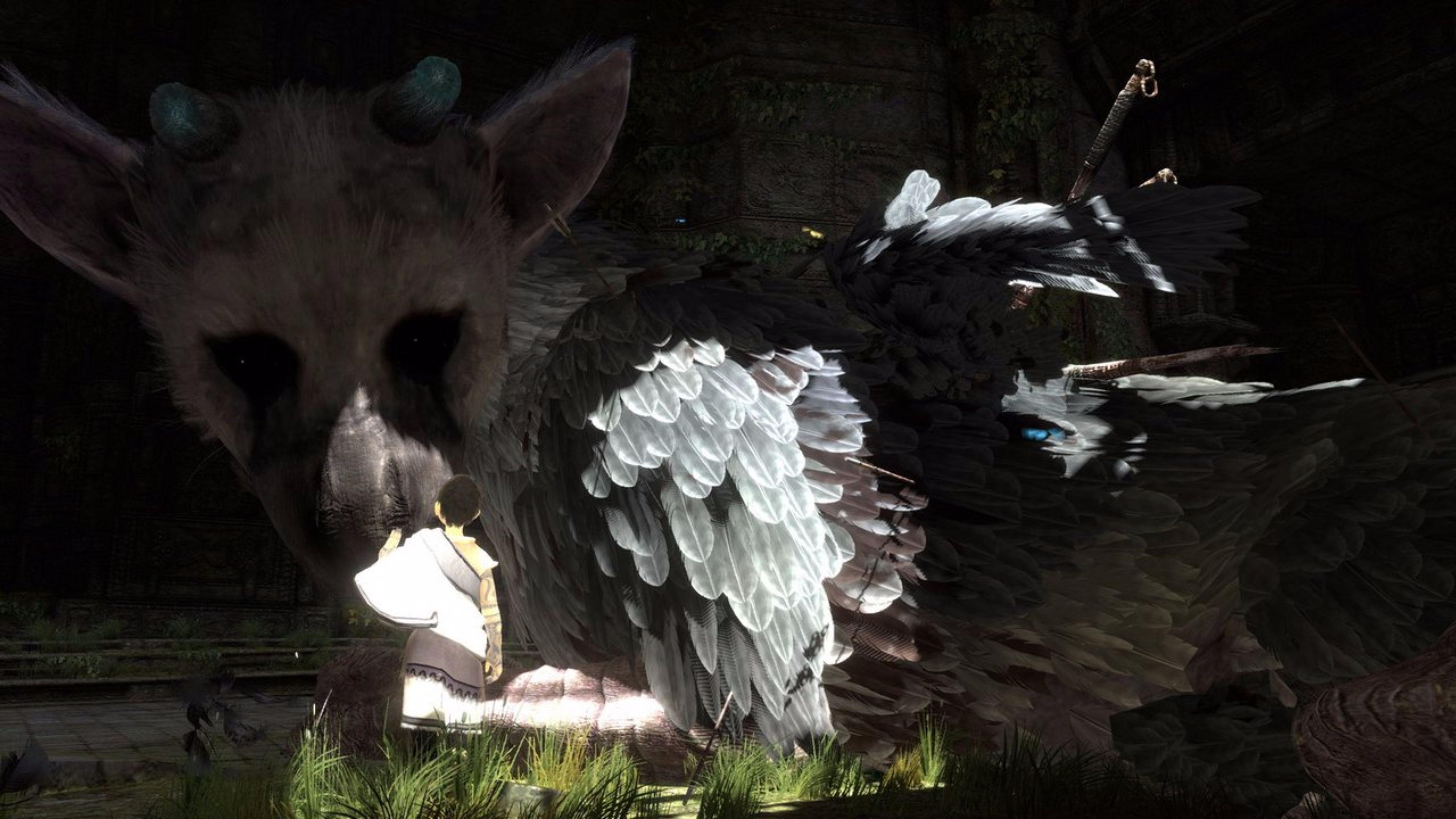 3840x2160 Free The Last Guardian 4K Wallpaper. Free 4K Wallpaper, Desktop