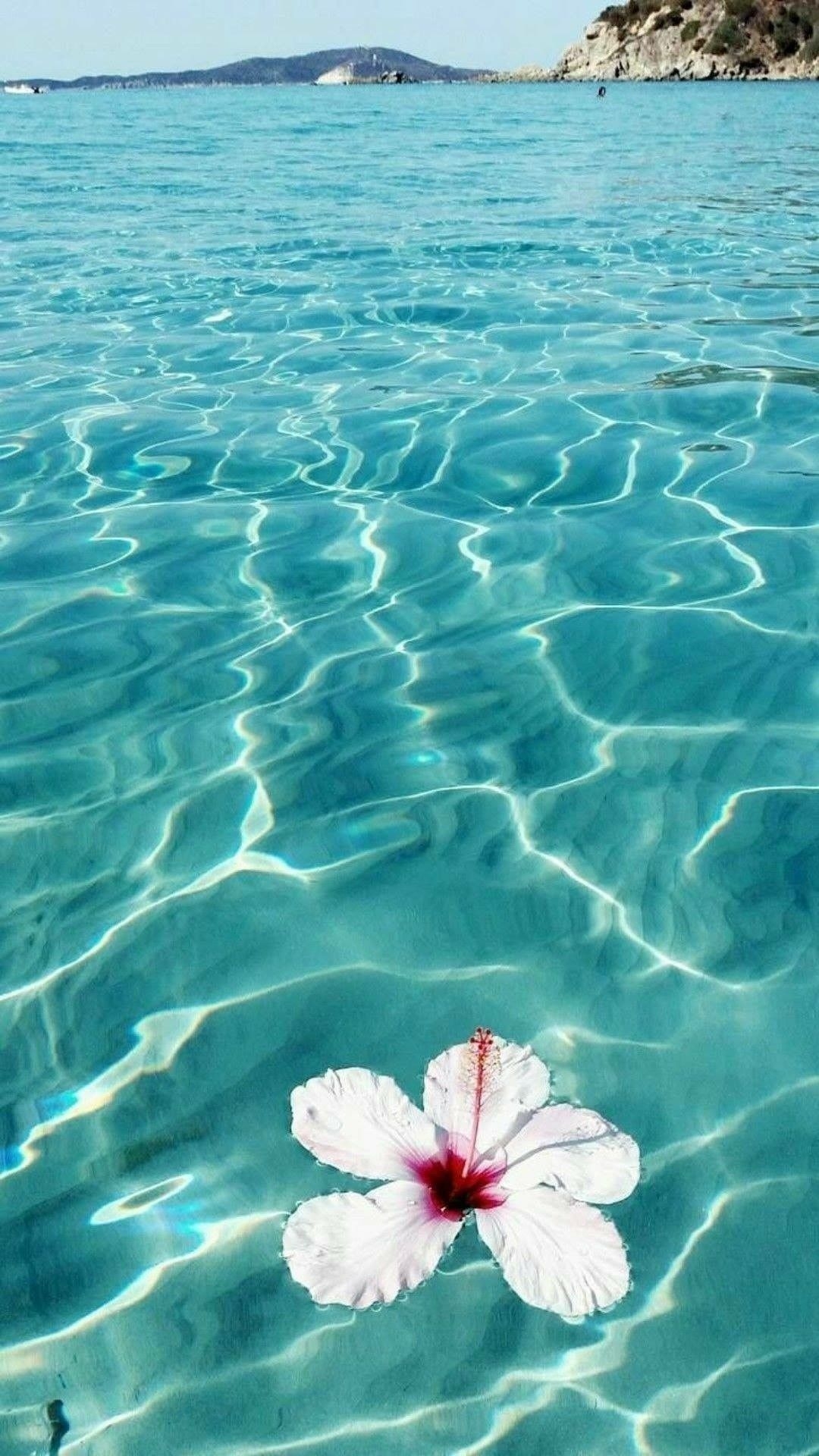 1080x1920 Summer Aesthetic Tropical iPhone Wallpaper, Phone