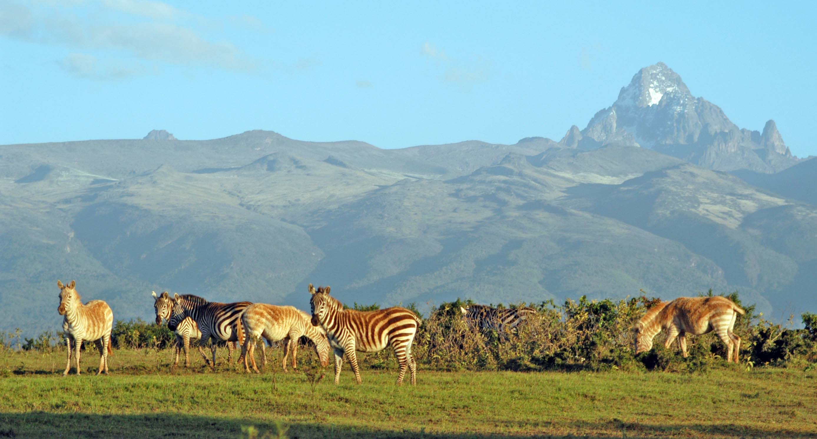 2780x1500 The top trending wallpaper of Kenya, Desktop