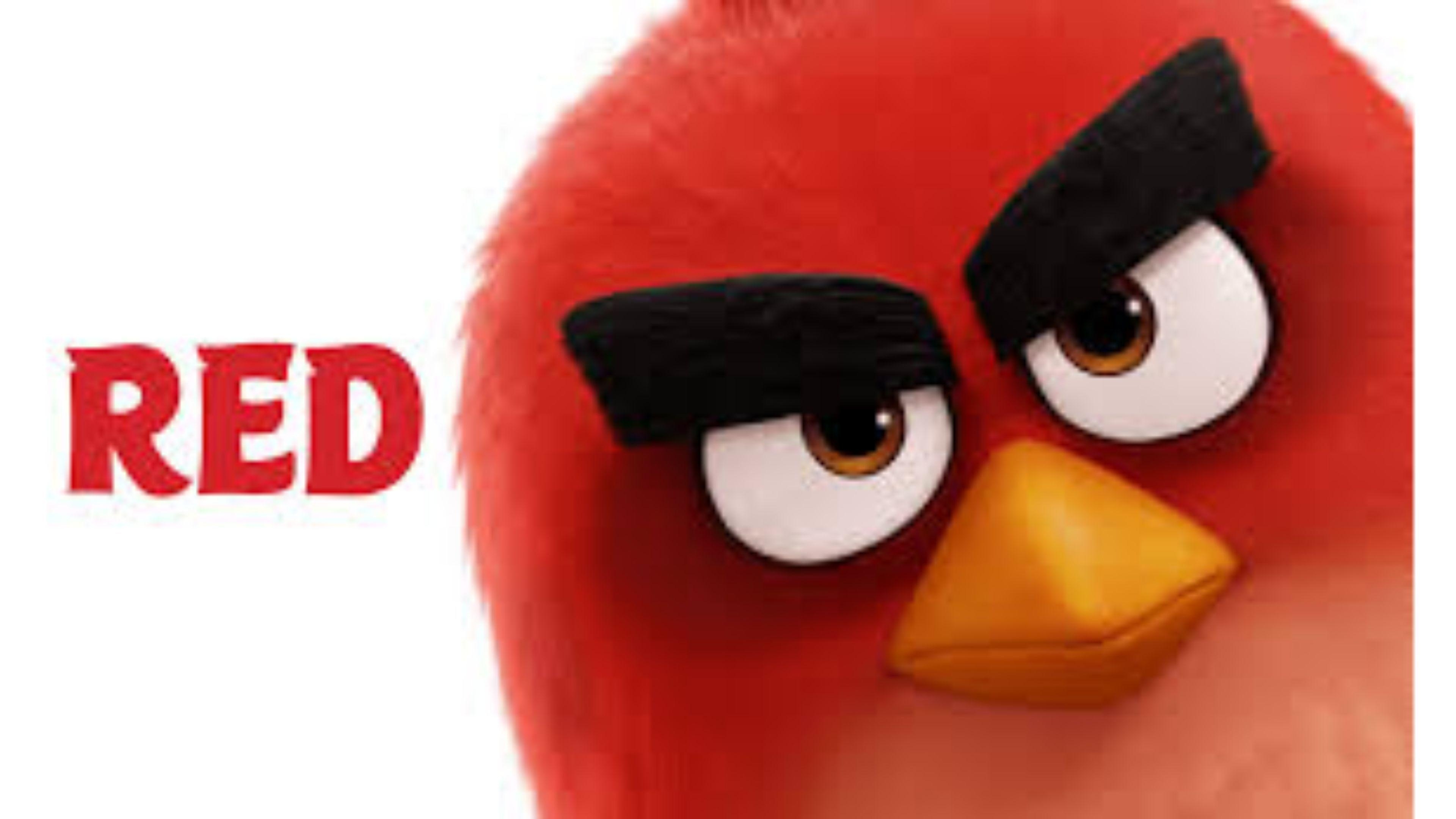 3840x2160 RED Angry Birds Movie Wallpaper, HD RED Angry Birds Movie, Desktop