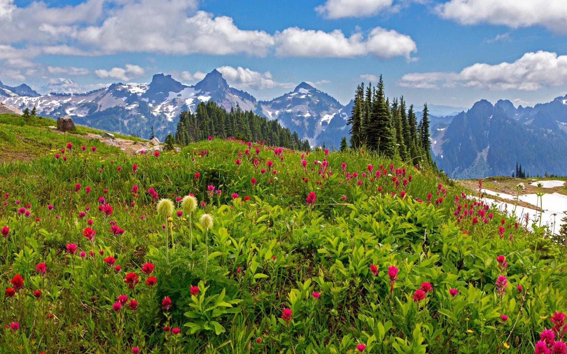 1920x1200 Mount Rainier National Park Wallpaper HD For Desktop Download, Desktop