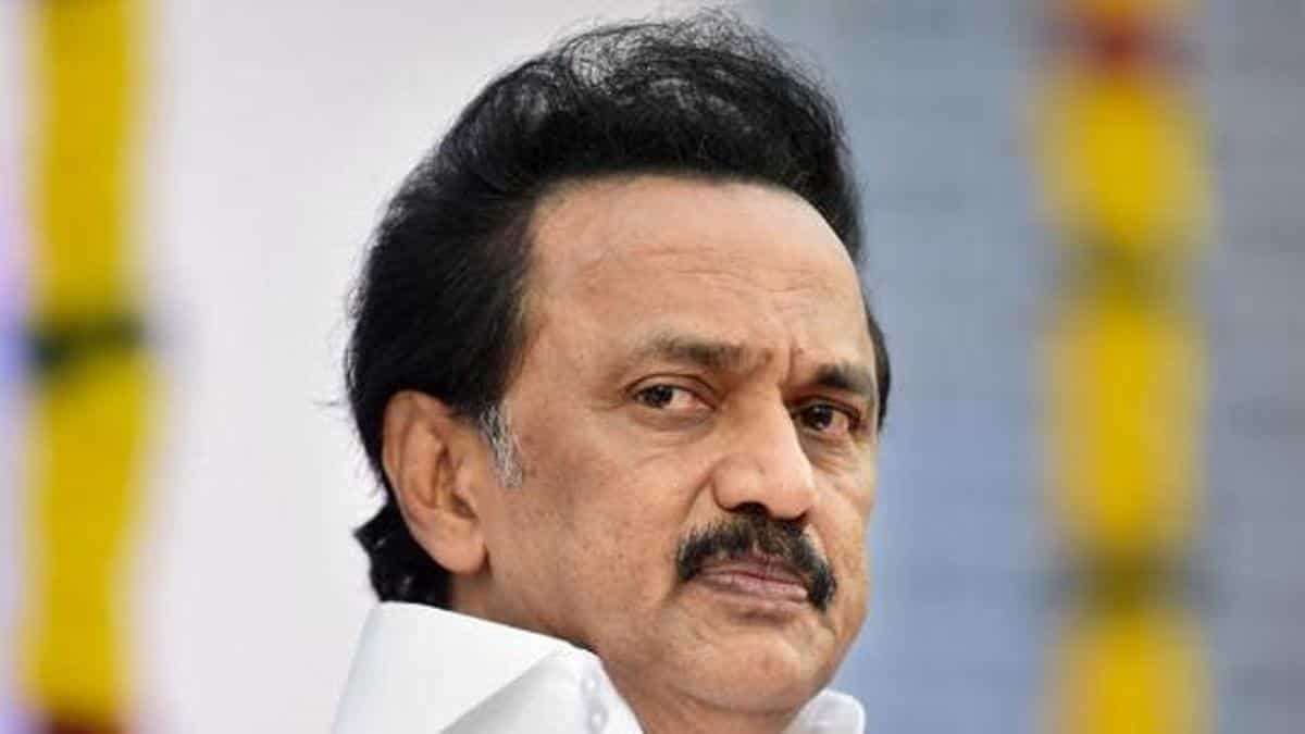 1200x680 DMK's Stalin heads to UN's Human Rights body, we tell you what's, Desktop