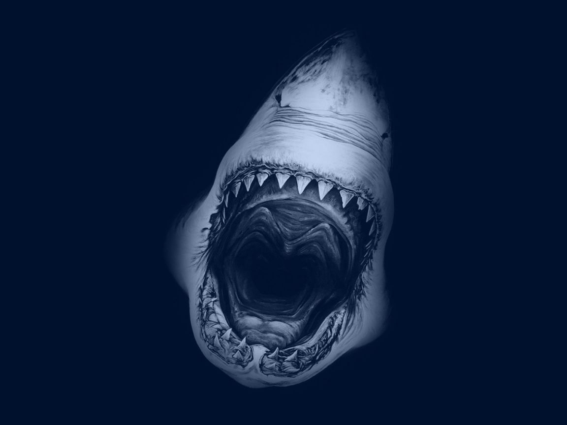 1160x870 Free download shark ever megalodon shark size great white shark mouth open [] for your Desktop, Mobile & Tablet. Explore Gym Shark Wallpaper. Free Shark Wallpaper, Live Shark Wallpaper, Desktop