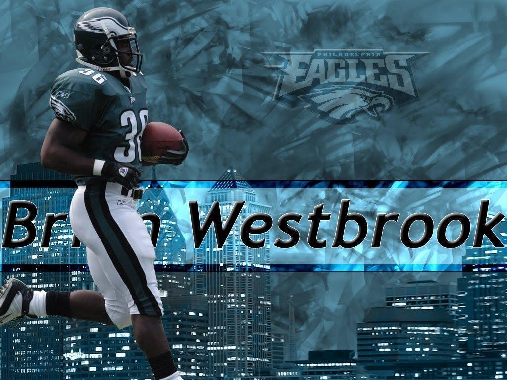 1030x770 Wallpaper for Desktop Eagles, Desktop