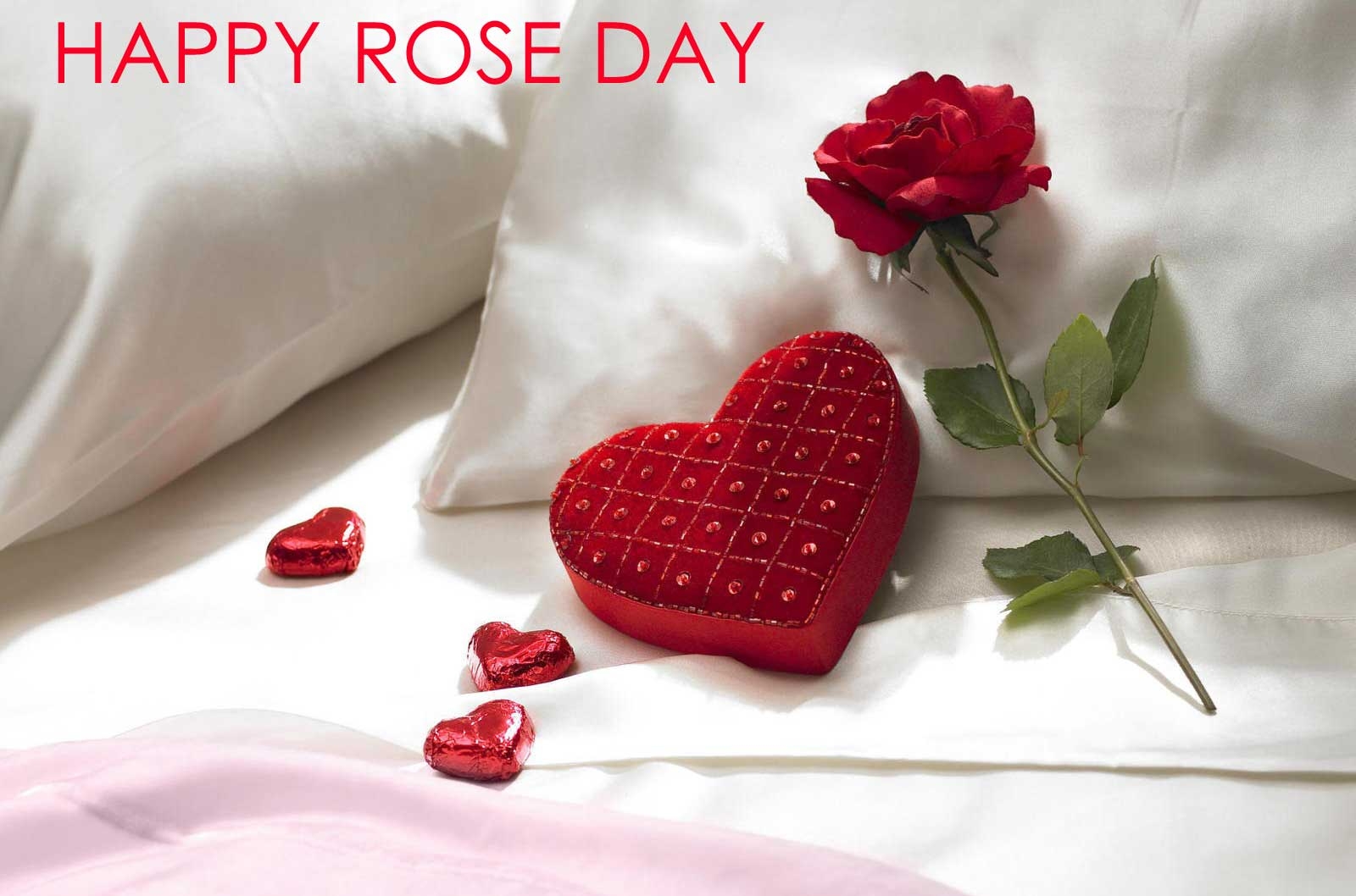 1600x1060 Happy Rose Day 2024 HD wallpaper, Desktop