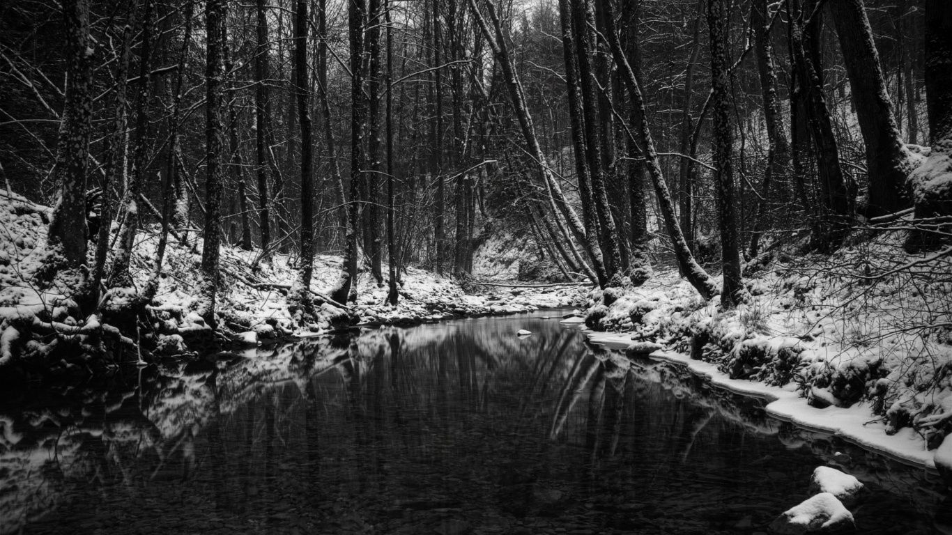 1370x770 Winter in black and white. Winter landscape, Dark wallpaper, Winter wallpaper, Desktop