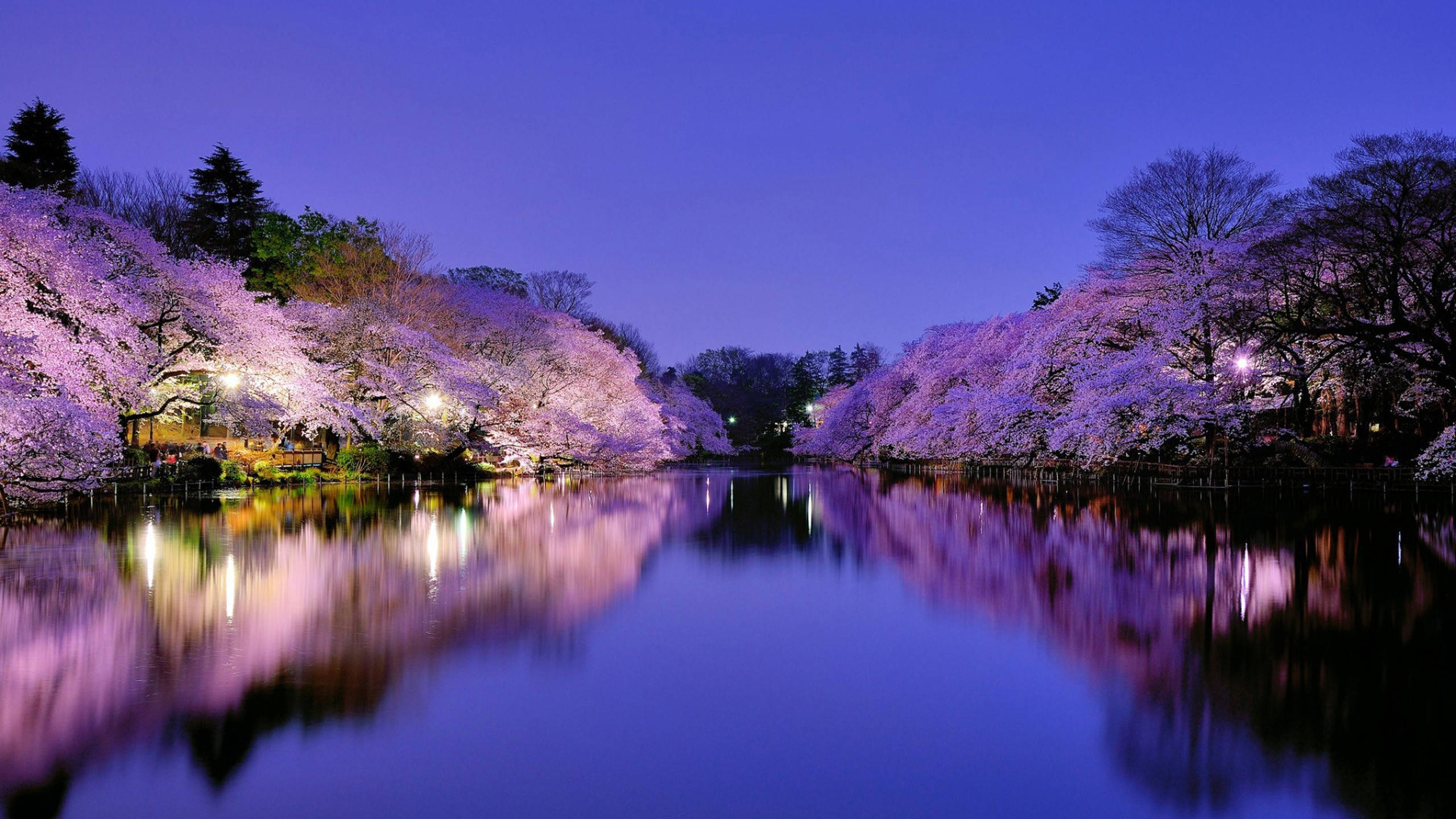 2560x1440 Download Calm Spring Evening Wallpaper, Desktop