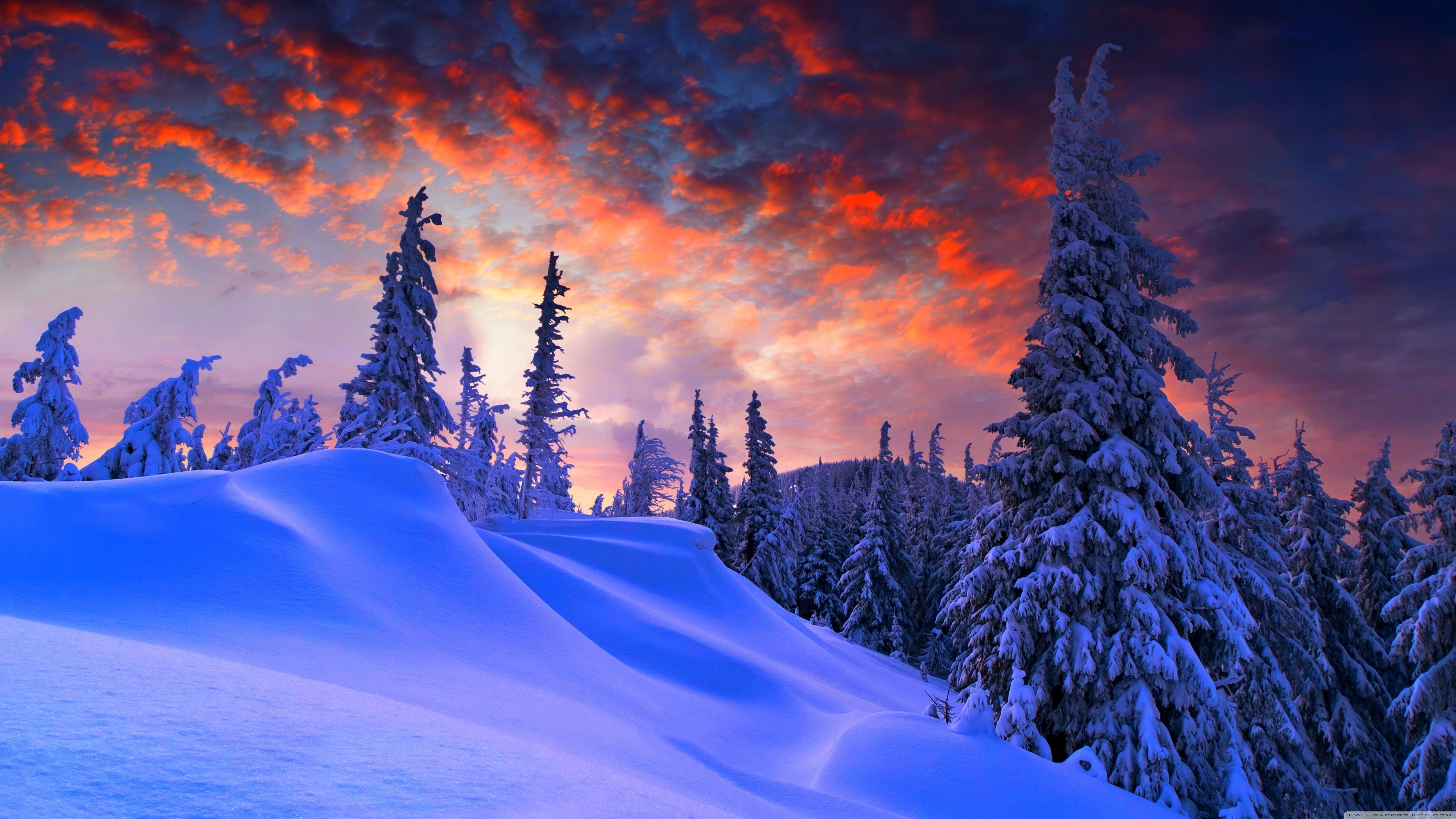 5120x2880 Winter Wallpaper Free Winter Background, Desktop