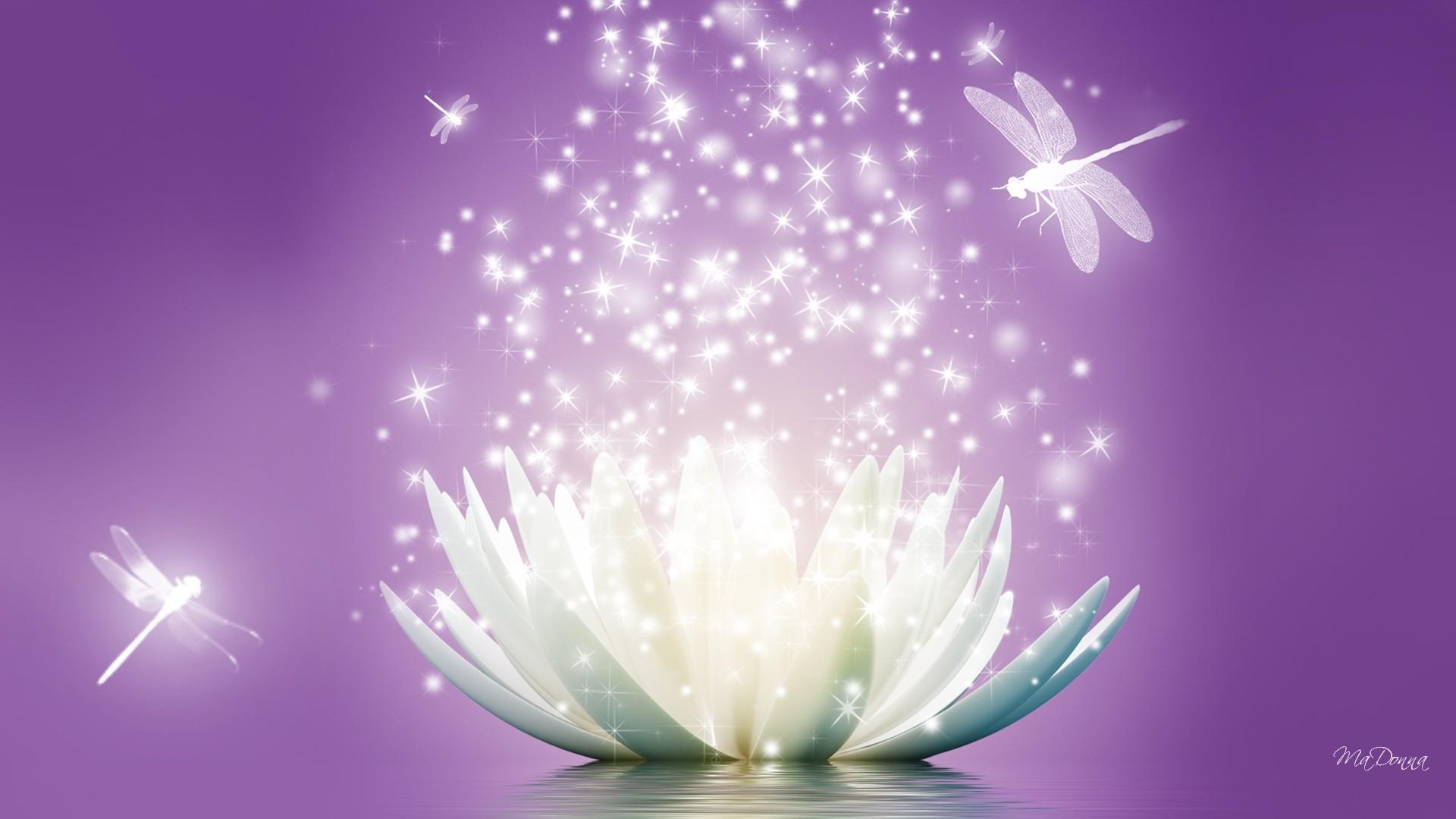 1920x1080 HD Lotus Flower Sparkle Wallpaper, Desktop