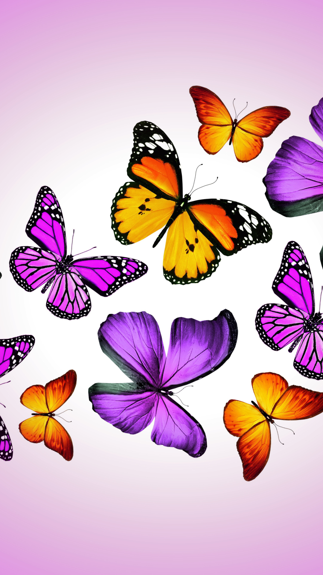 1080x1920 Orange And Purple Butterflies Wallpaper for iPhone 8 Plus, Phone