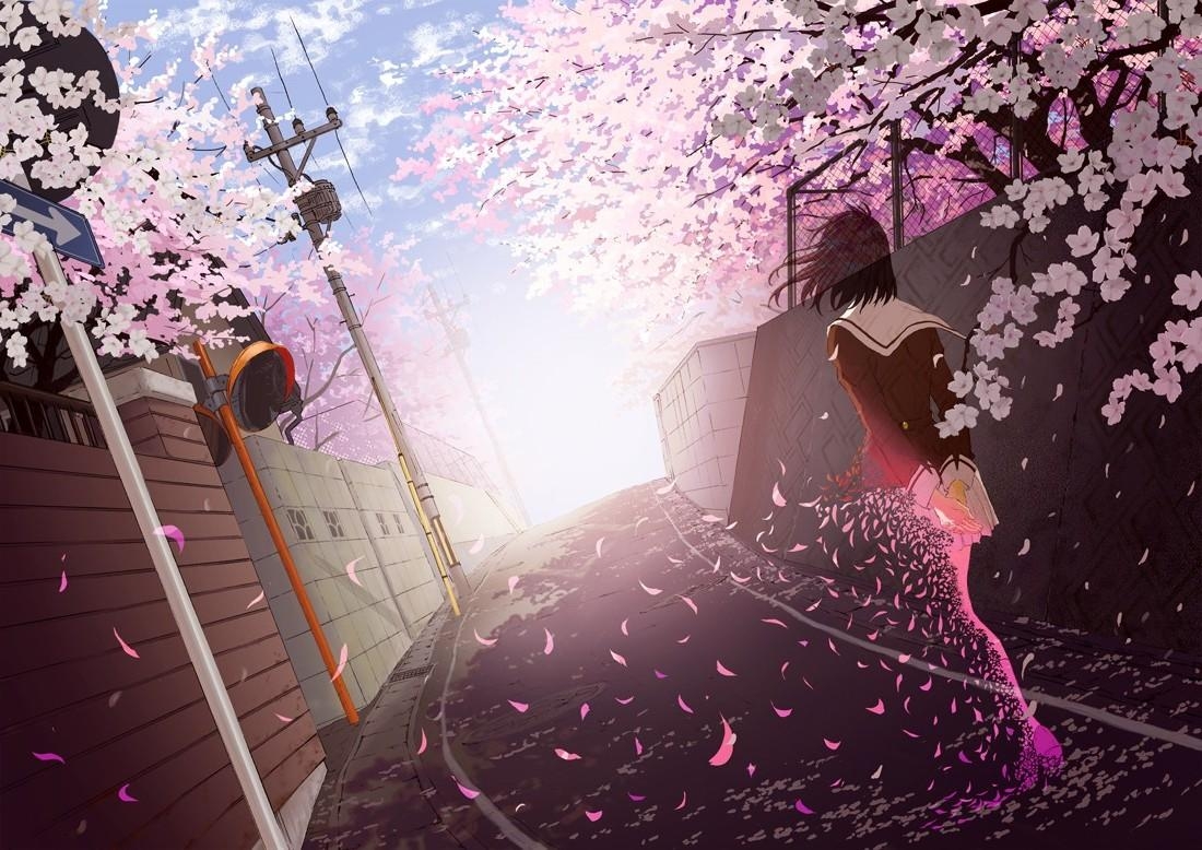 1100x780 anime Girls, School Uniform, Cherry Blossom Wallpaper HD, Desktop