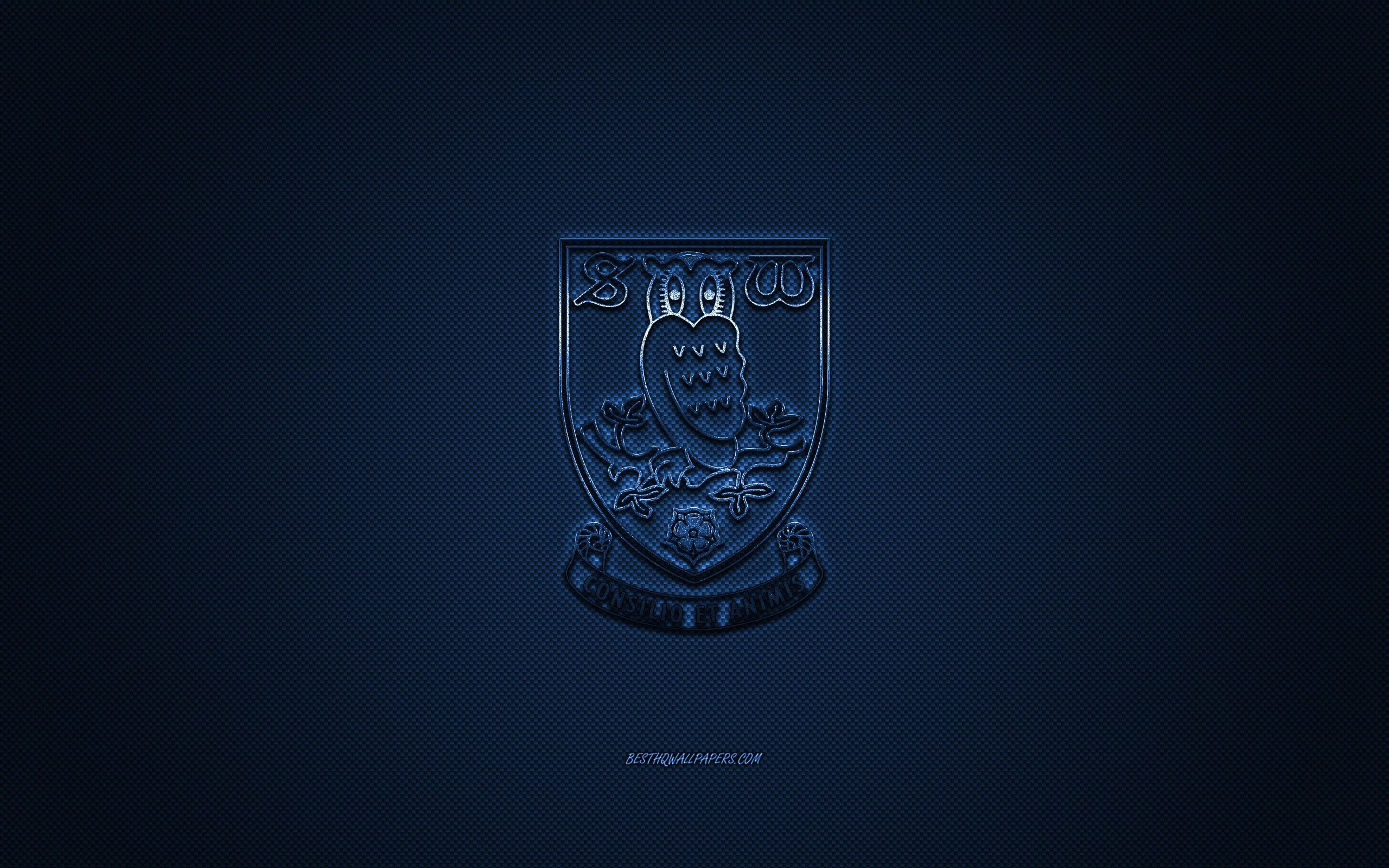 2560x1600 Download wallpaper Sheffield Wednesday FC, English football club, Desktop