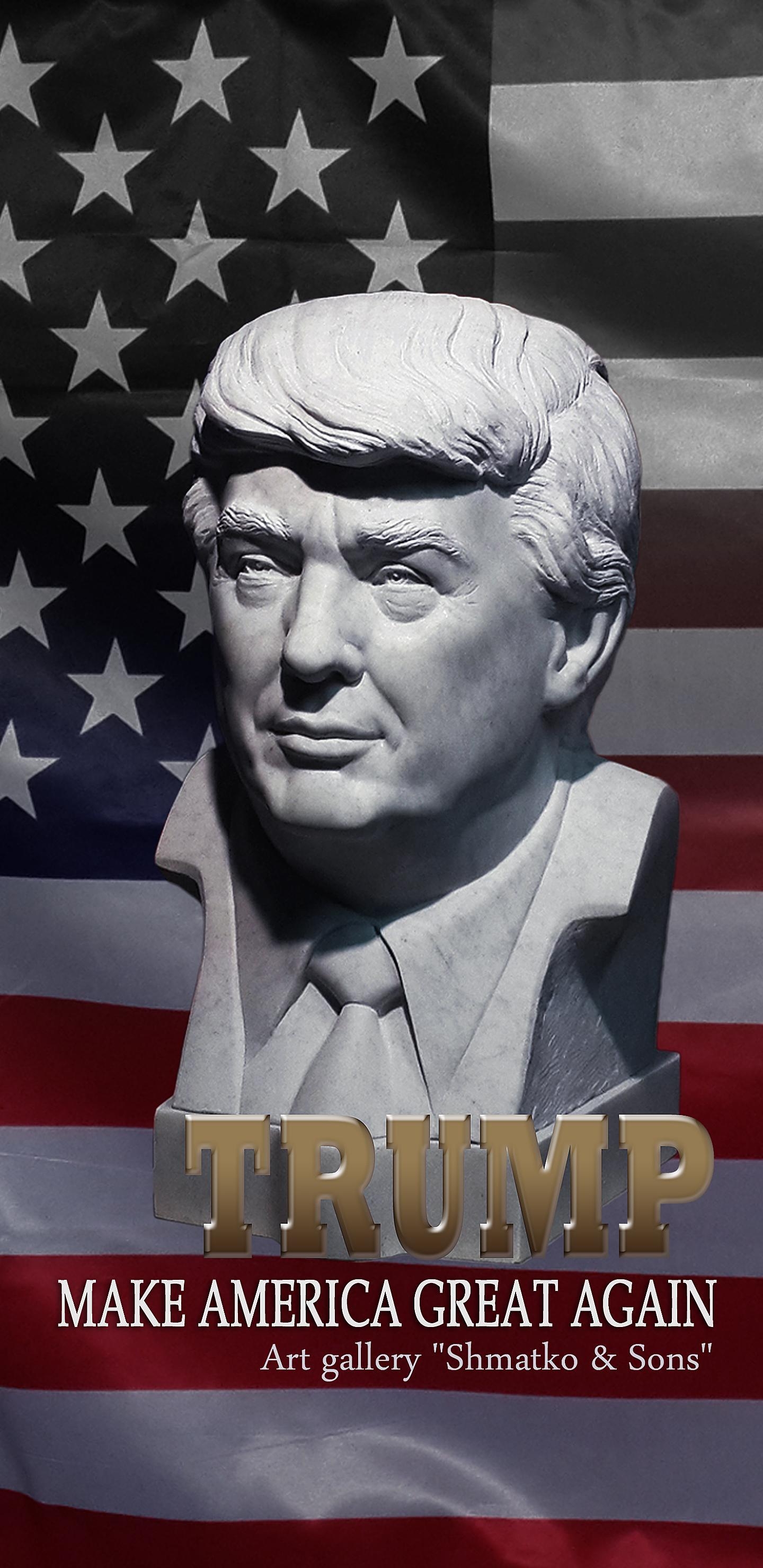 1440x2960 Donald Trump, Phone