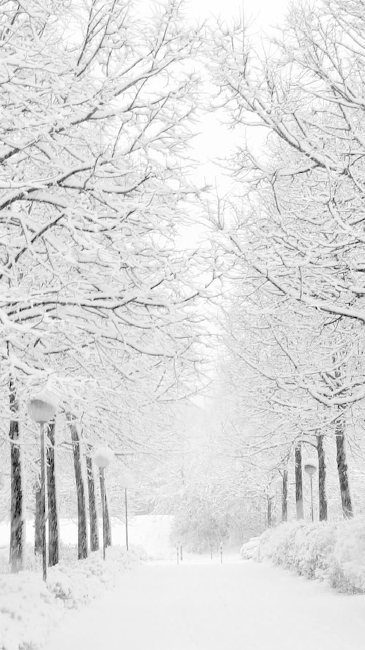 720x1280 30++ White Winter iPhone Wallpaper, Phone