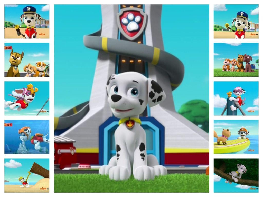 1030x770 Paw Patrol wallpaper, Desktop