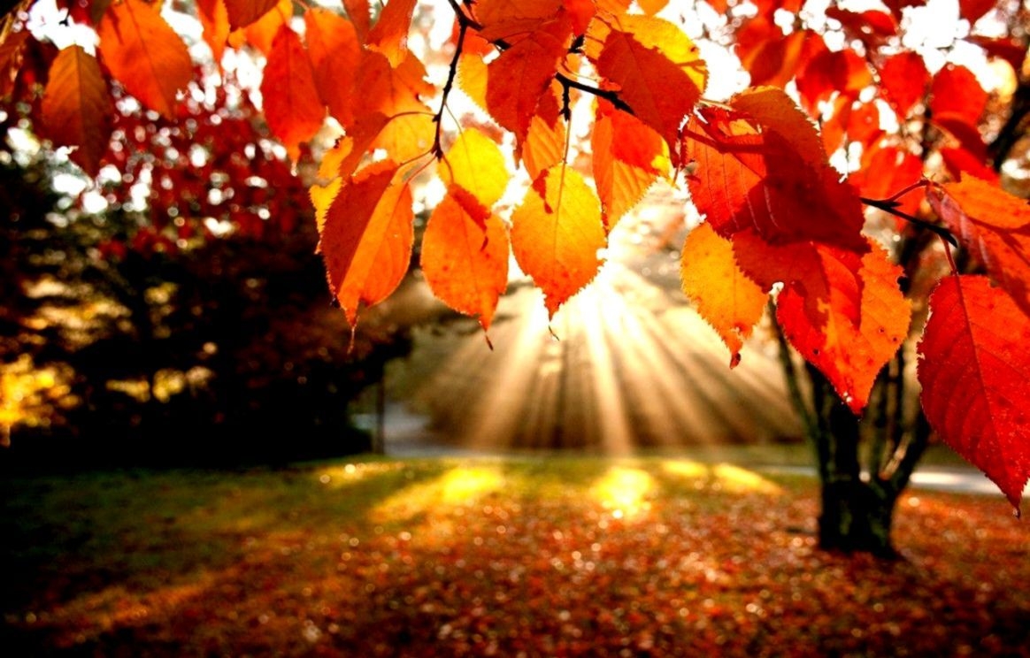 1170x750 Fall Desktop Wallpaper Free, Desktop