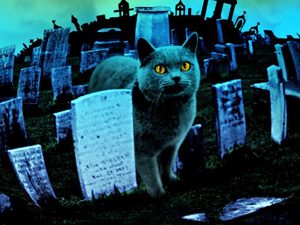 1030x770 Pet Sematary Ii Movie Wallpaper (image in Collection), Desktop