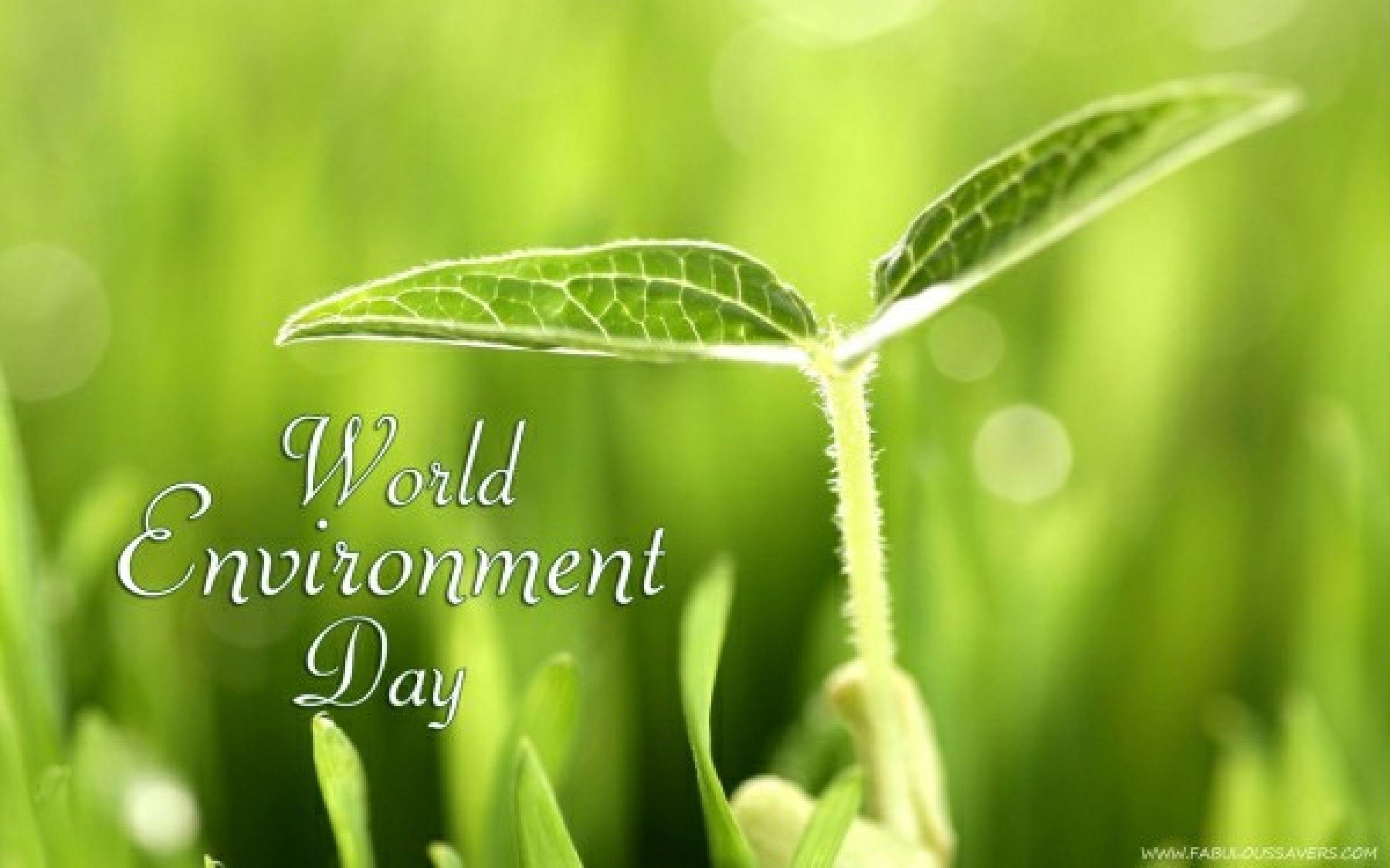 2880x1800 World Environment Day Free Computer Desktop Wallpaper, Desktop