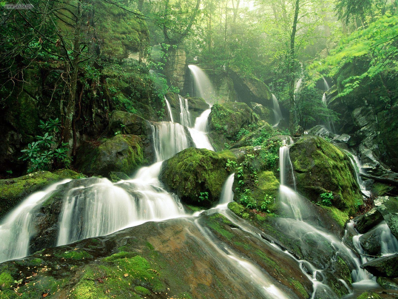 1600x1200 View Cliff Branch Falls Great Smoky Mountains National Park, Desktop