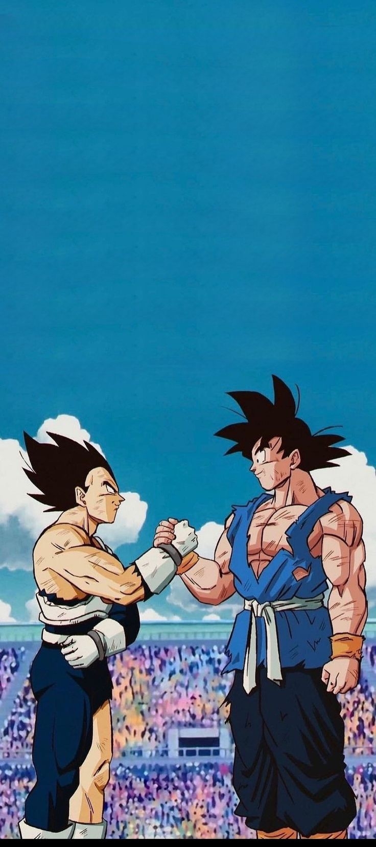 740x1660 Vegeta & Goku. Anime dragon ball goku, Anime, Dragon ball super wallpaper, Phone