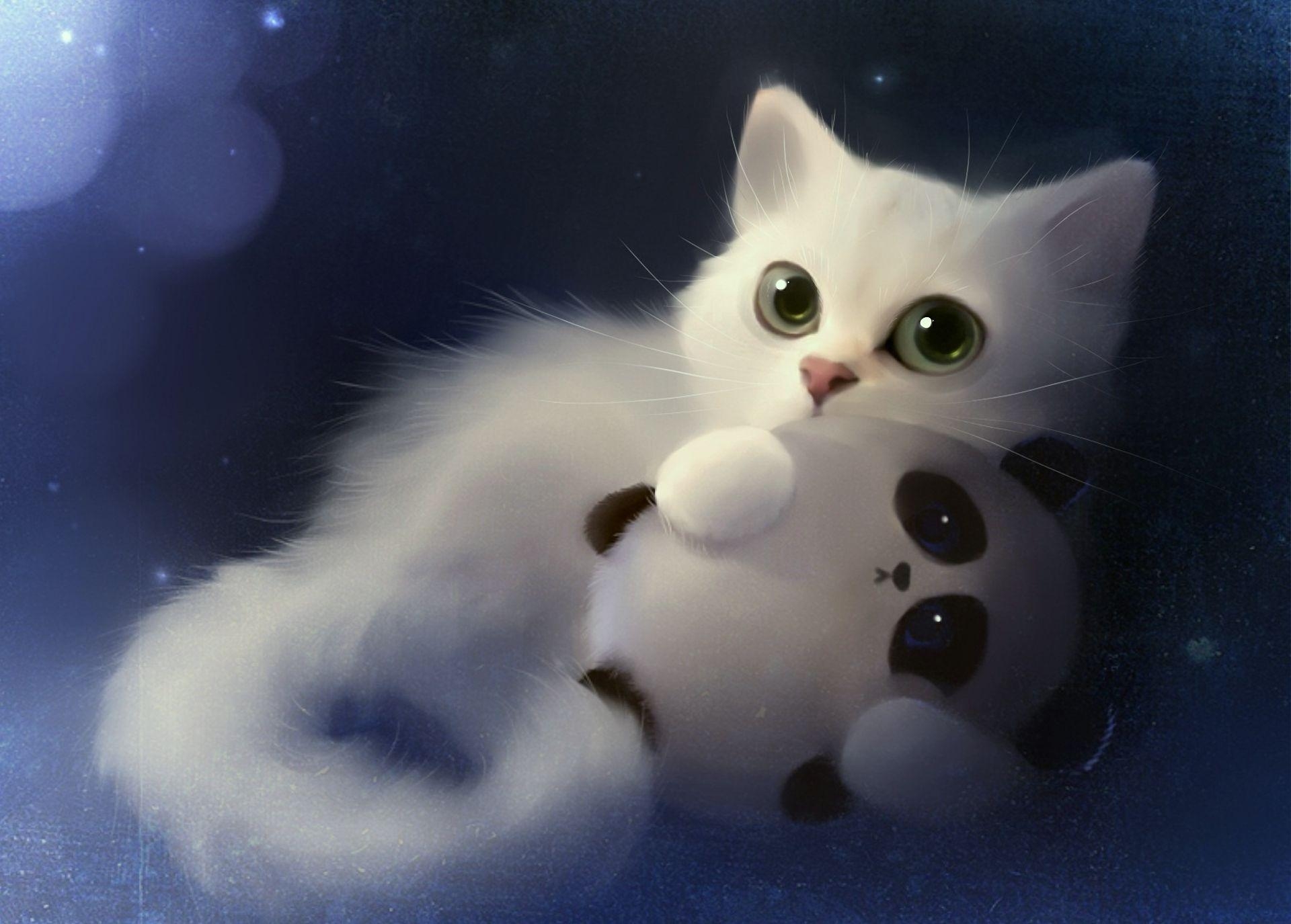 1920x1380 HD White Cat Pa Bear Wallpaper, Desktop