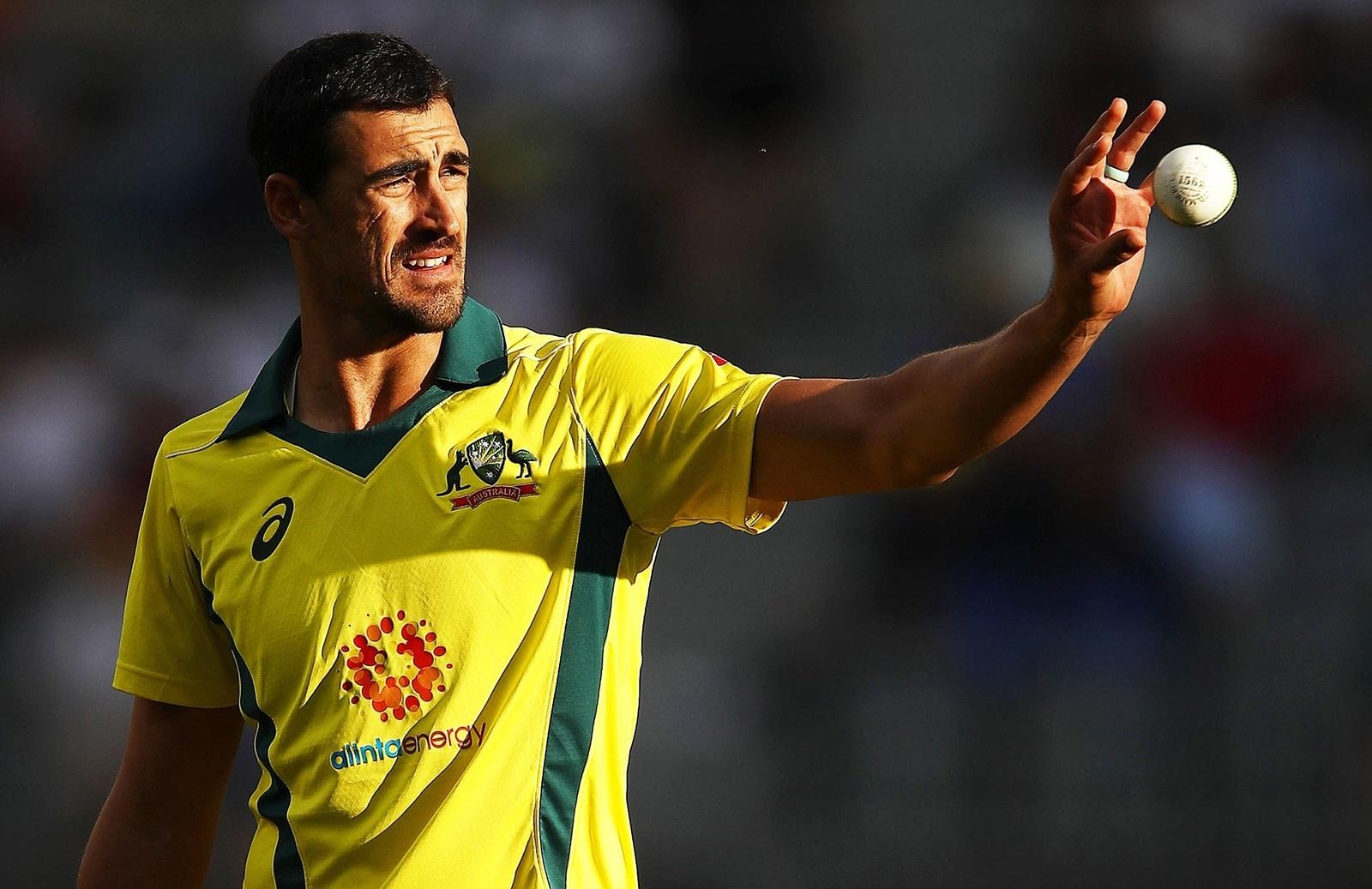 1600x1040 Starc, banned duo ruled out of UAE tour, Desktop