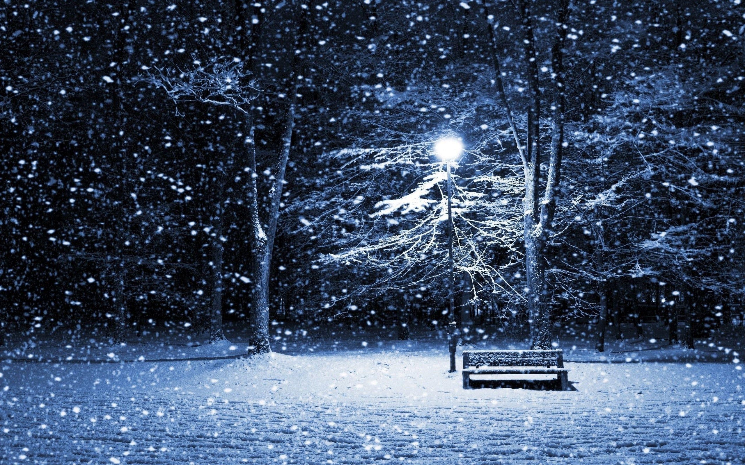 2560x1600 Snowy night. Snow night, Snow illustration, Winter wallpaper, Desktop