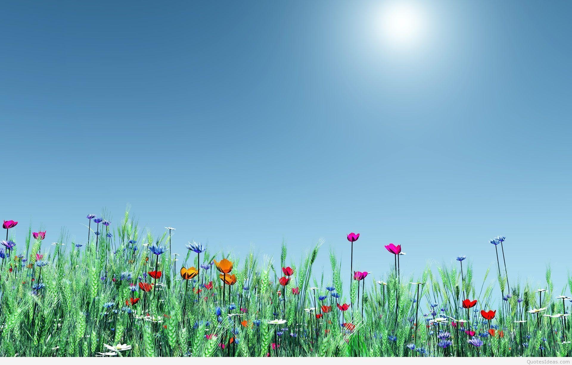 1920x1230 Free Spring Wallpaper 7B5, Desktop