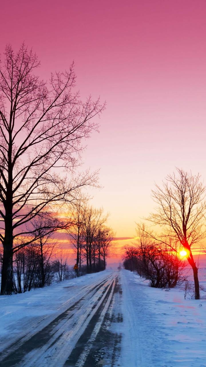 720x1280 Pink winter Wallpaper, Phone