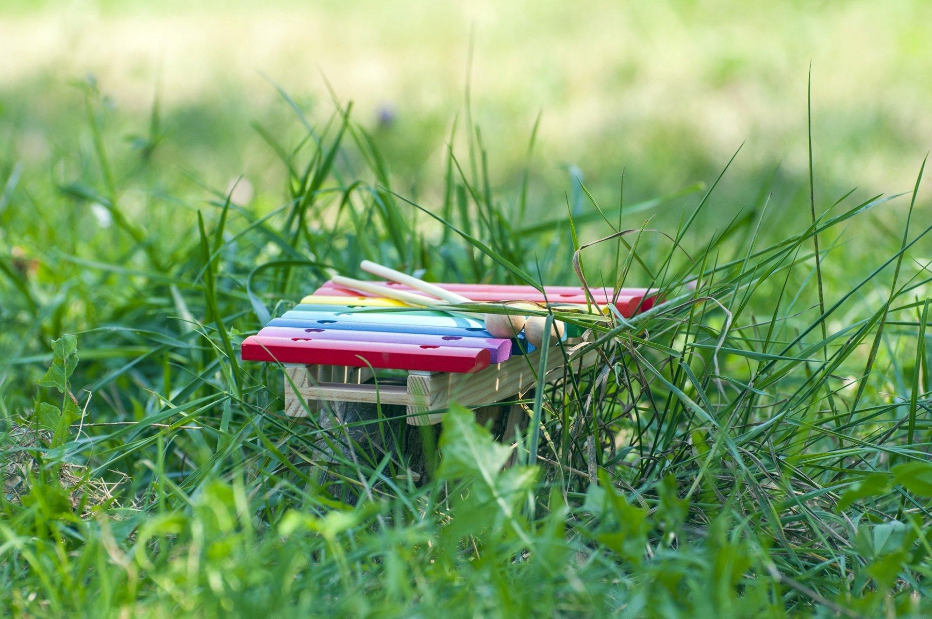 1920x1280 background grass close up tools marimba xylophone bars knockers HD, Desktop