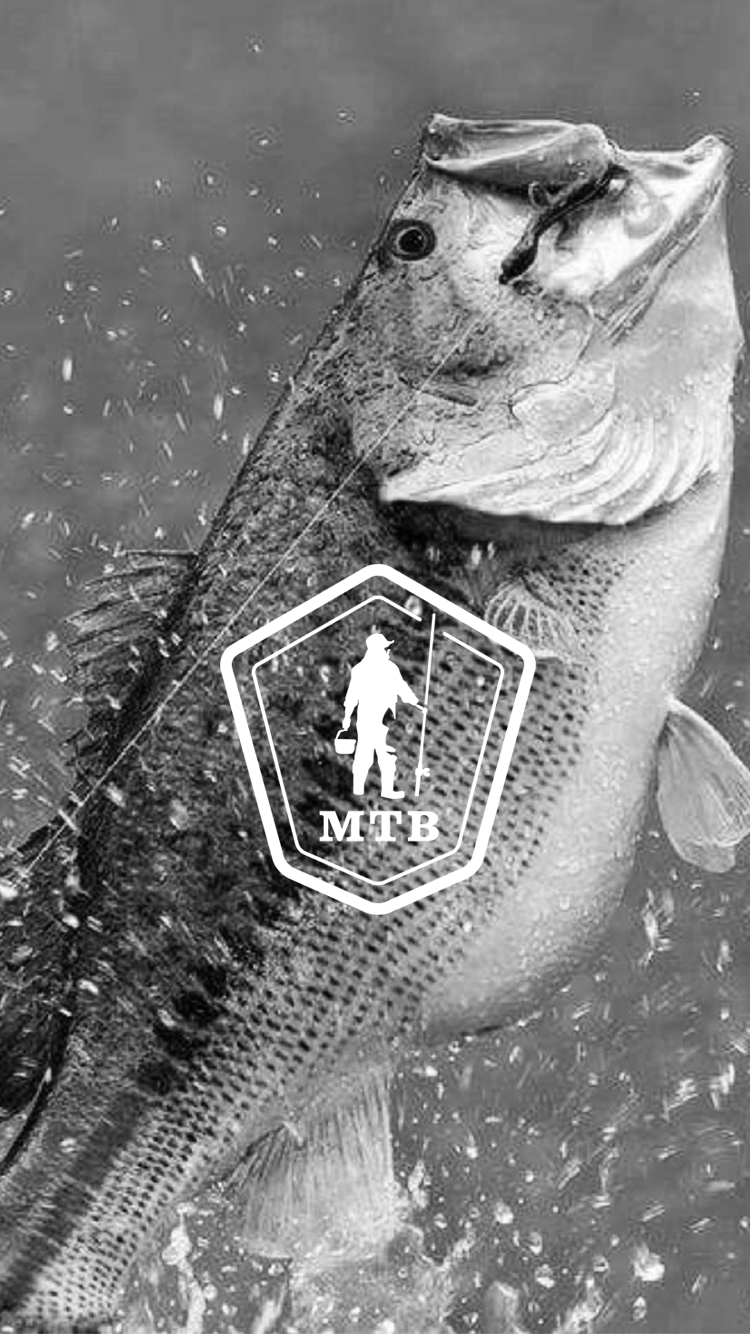 750x1340 Fishing Phone Wallpaper You Should Use Right Now!, Phone