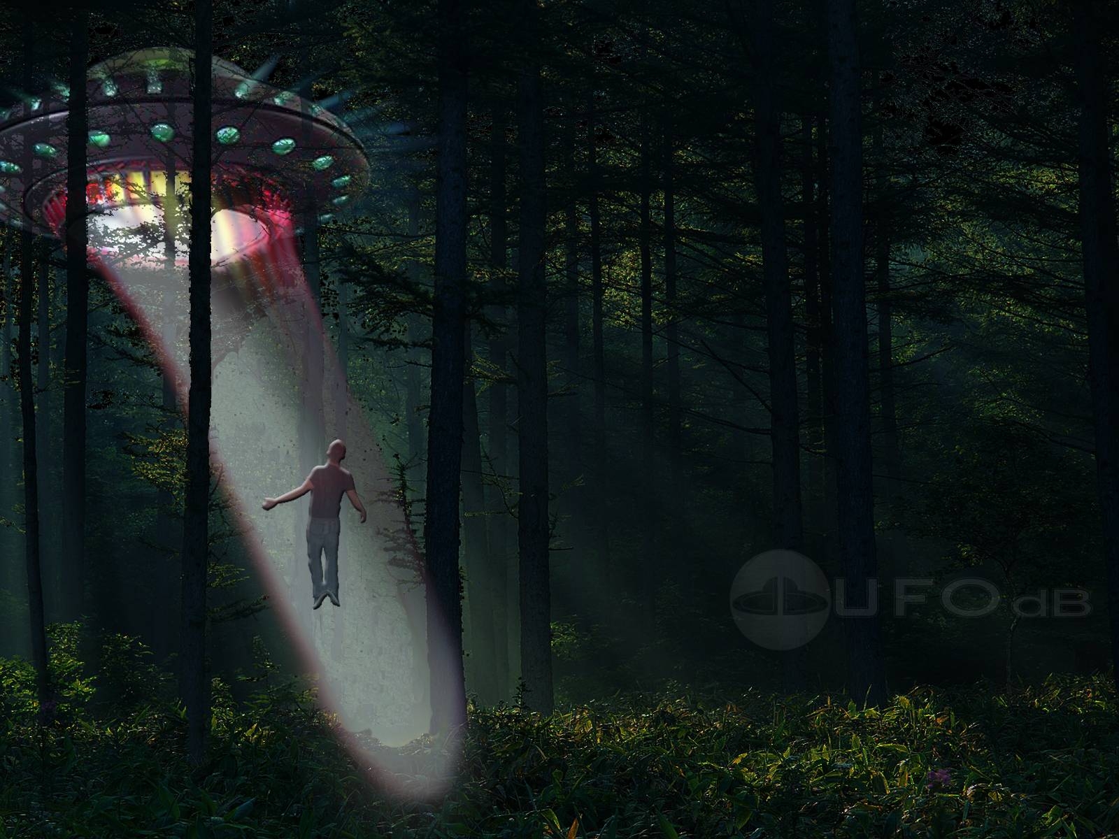 1600x1200 UFOdB.com Free UFO Wallpaper Abductions Forest, Desktop